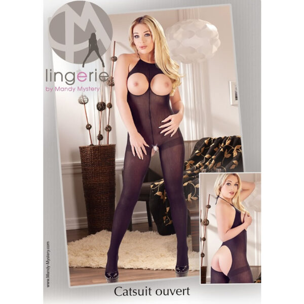 Nylon Catsuit med Fri Bryster & Bagdel